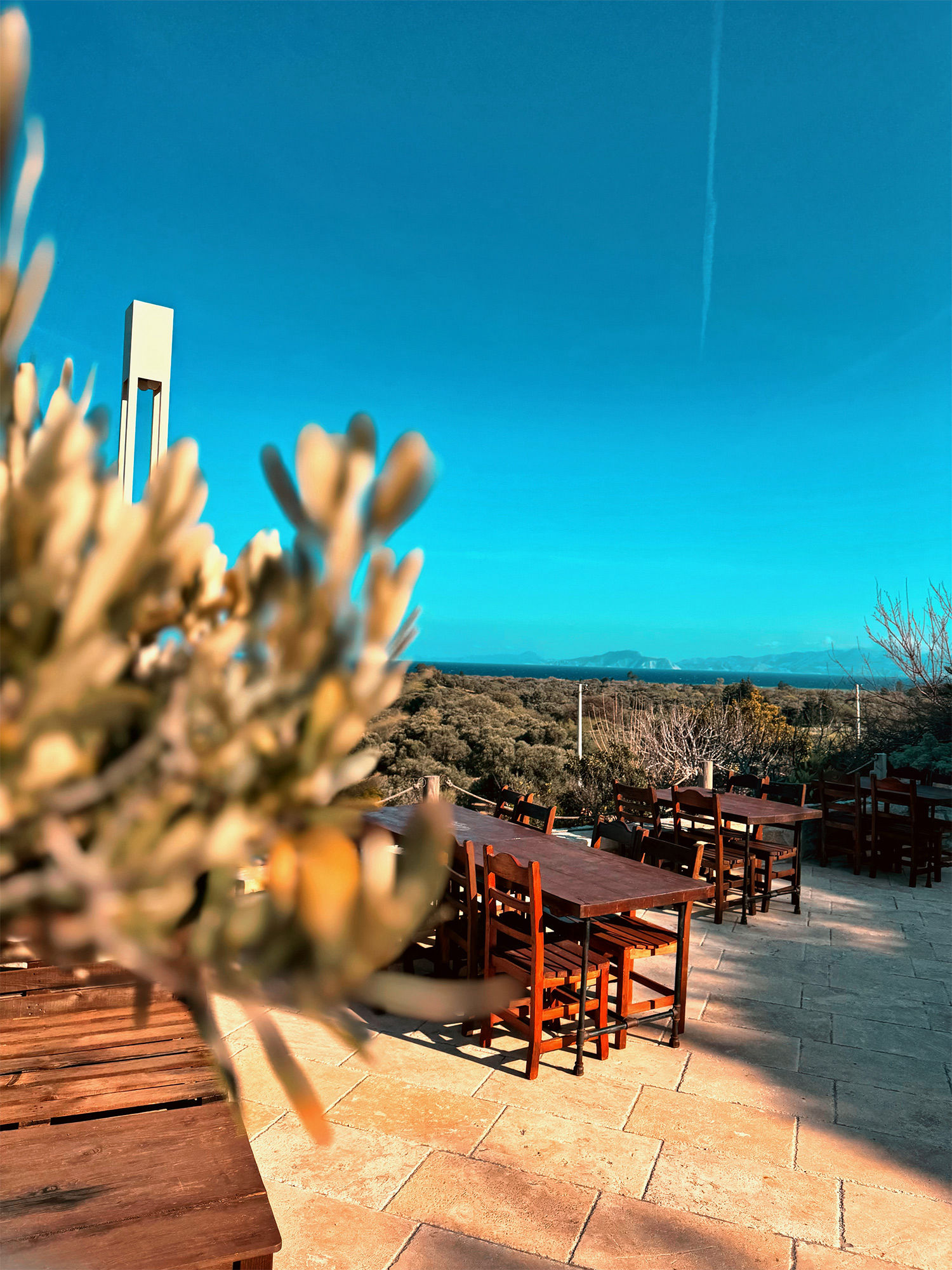 Datça Vineyard Restaurant
