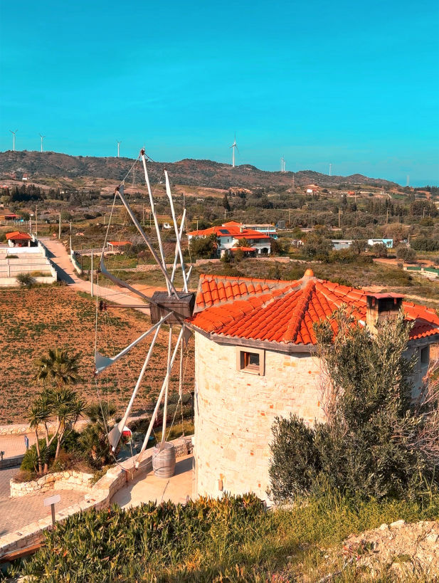 Datça Vineyard Datça Bağ Aktiviteler