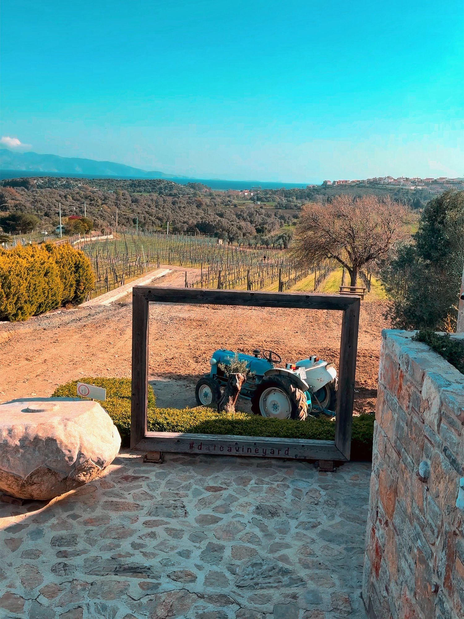 Datça Vineyard Restaurant