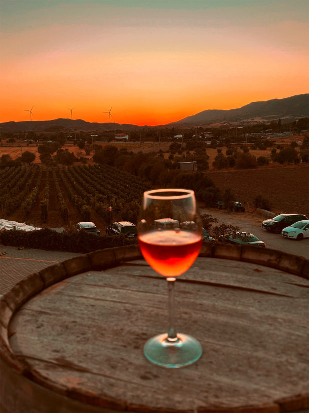 Datça Vineyard Restaurant