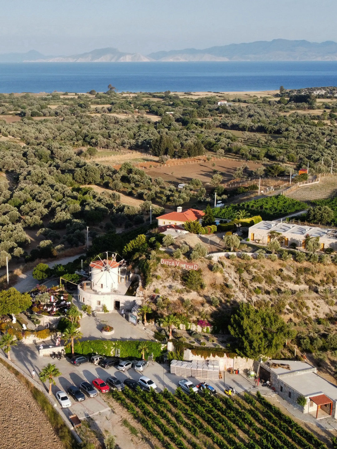 Datça Vineyard Datça Bağ çiftliğimiz