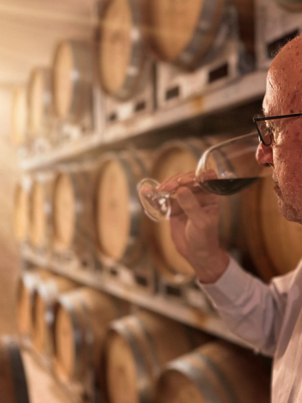 Datça Vineyard çiftliğimiz