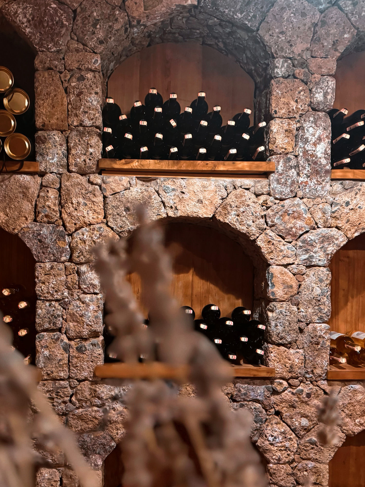Datça Vineyard çiftliğimiz