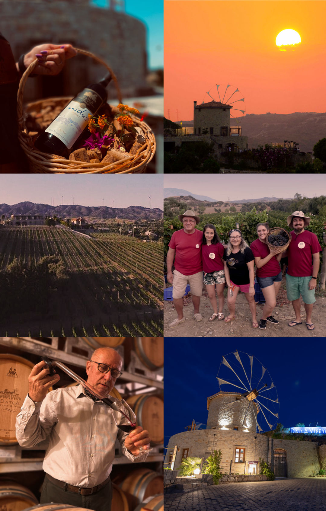 Datça Vineyard Datça Bağ çiftliğimiz